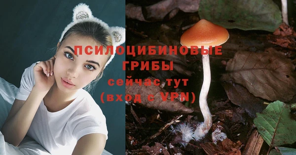 mdpv Балахна