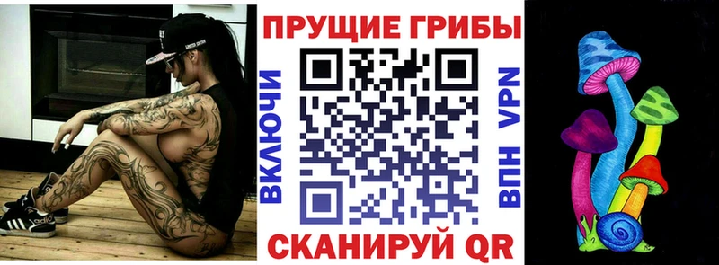 Псилоцибиновые грибы прущие грибы  Кяхта 
